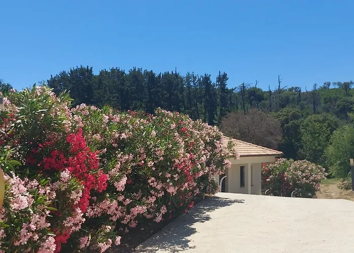 Corse Et Zen Bulle Zen 25 M² 2 Pers + Bebe Folelli